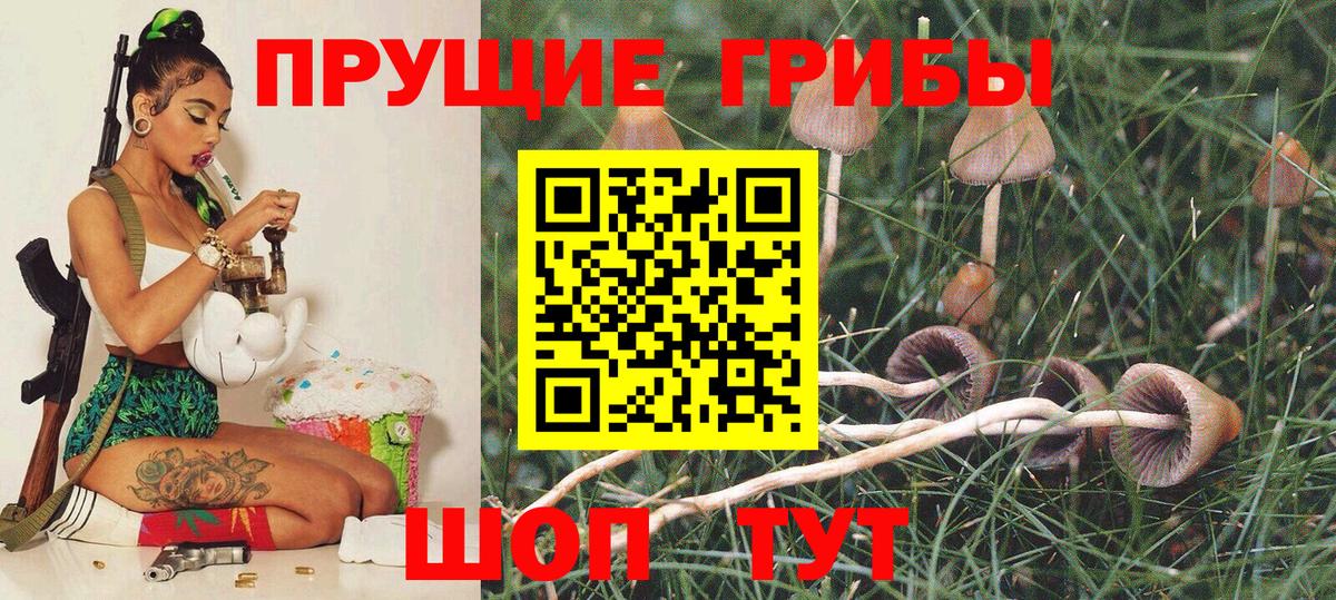 Галлюциногенные грибы GOLDEN TEACHER Таганрог